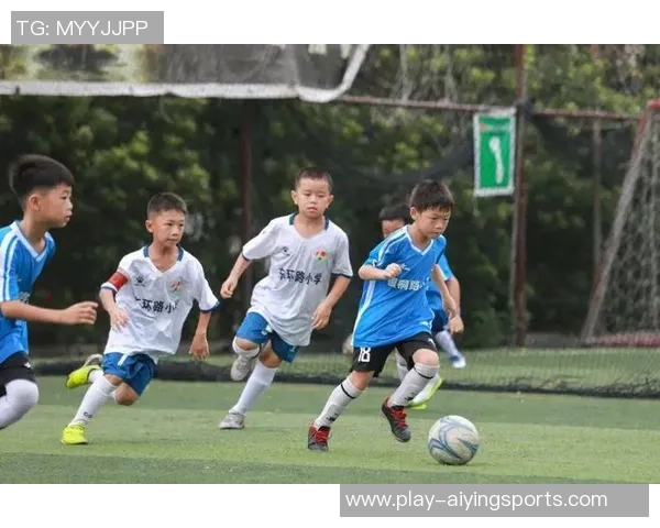 柳州足球崛起之路：从地方小队到全国舞台的奋斗历程与未来展望